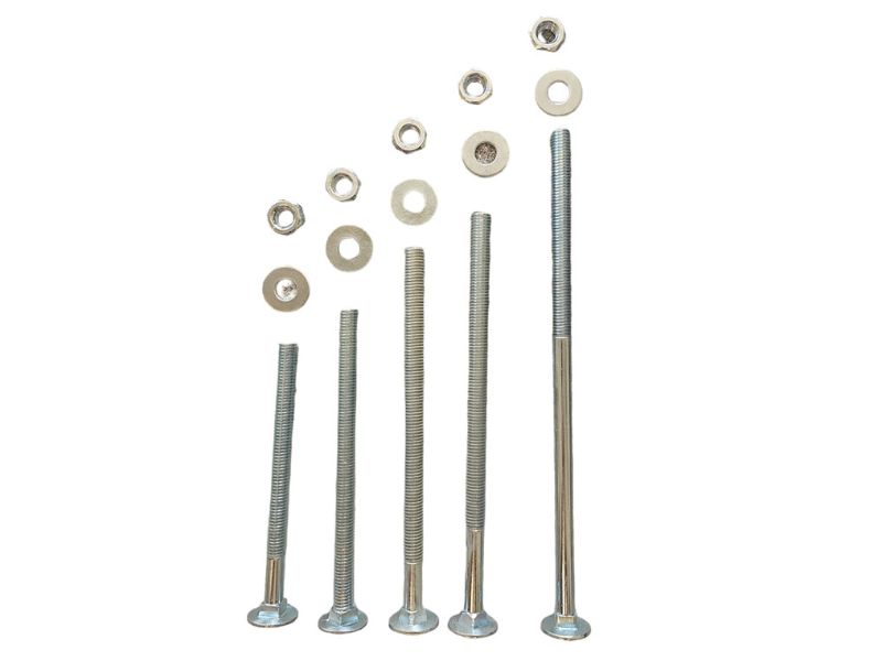 Image of Coach Bolt 150mm x 10mm